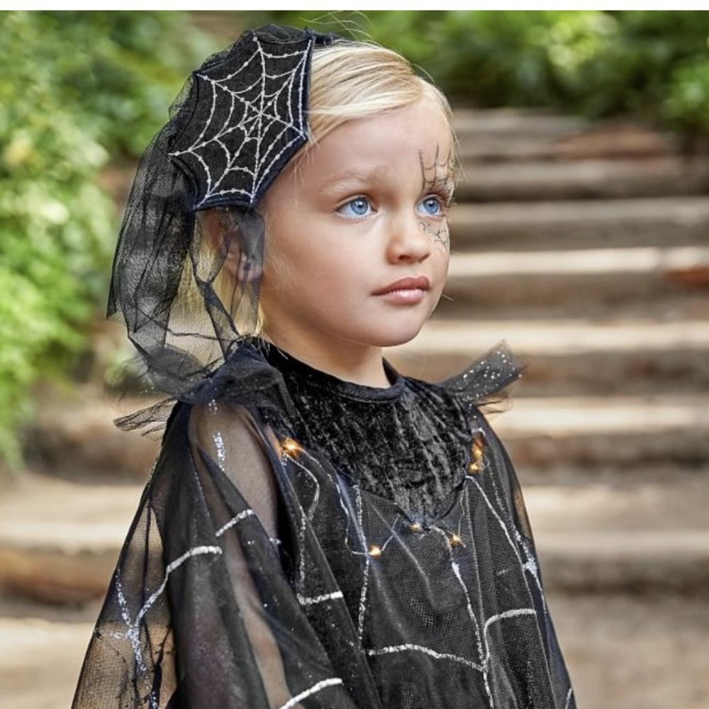 Light Up Black Spider Queen Halloween Costume - Pottery Barn Kids